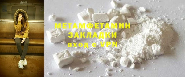 прущие грибы Бородино