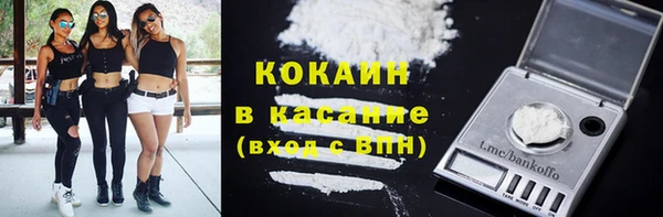 прущие грибы Бородино