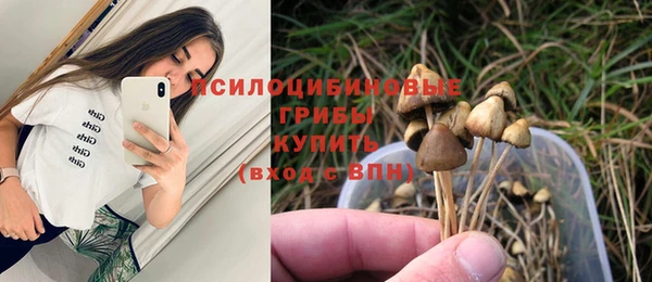 прущие грибы Бородино