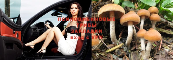 прущая мука Бронницы